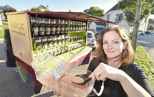 EkoSystemes-actualités